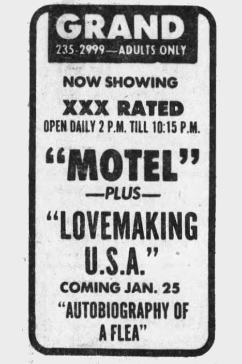 Movie poster for Lovemaking U.S.A. (1971)