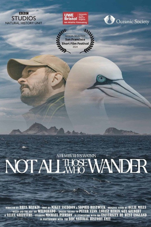 Movie poster for Not All Those Who Wander (2024)