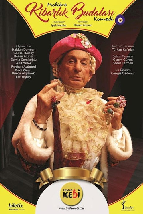 Movie poster for Kibarlık Budalası (2020)