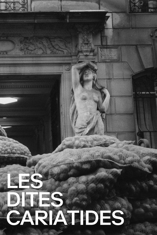 Movie poster for The So-Called Caryatids (1984)