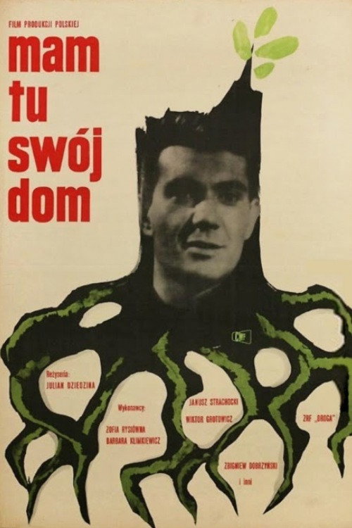 Movie poster for Here Is My Home (1963)