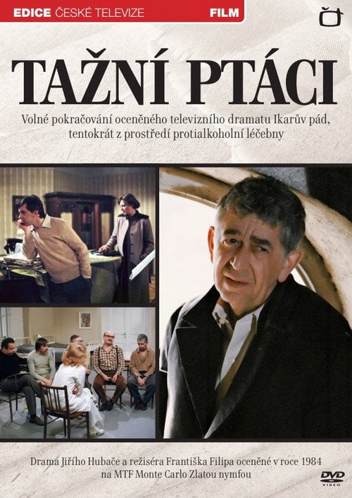 Movie poster for Tažní ptáci (1984)