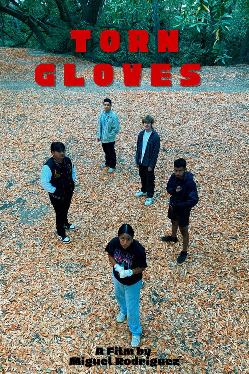 Movie poster for Torn Gloves (2022)