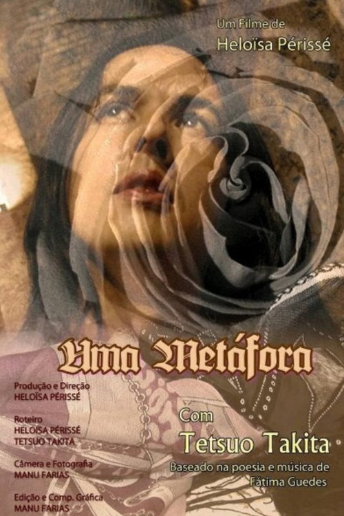 Movie poster for A Metaphor