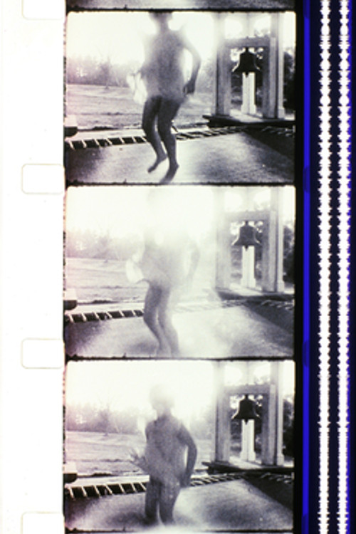 Movie poster for Report from Millbrook (1966)
