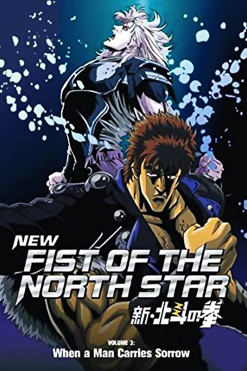 Movie poster for New Fist of the North Star: When a Man Carries Sorrow (2004)