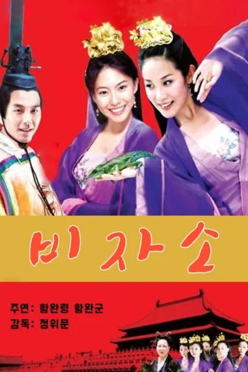 Movie poster for The China's Next Top Princess (2005)