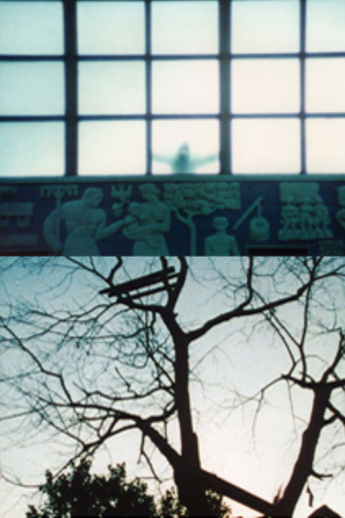 Movie poster for Le temps qu'il fait (1997)
