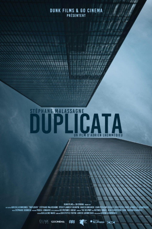 Movie poster for Duplicata