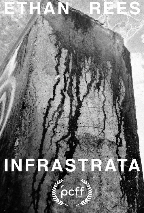 Movie poster for INFRASTRATA (2024)
