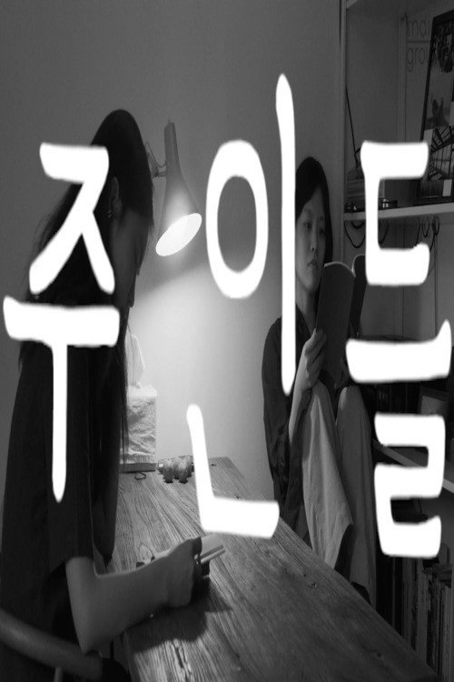 Movie poster for The Owners (2022)