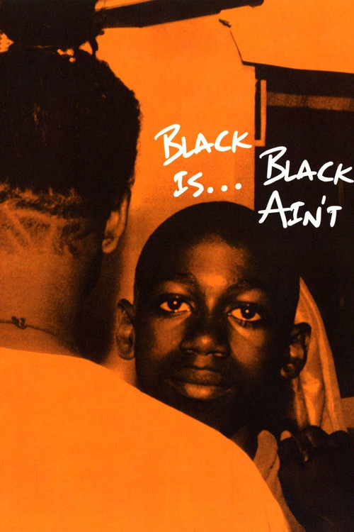 Movie poster for Black Is… Black Ain’t (1995)