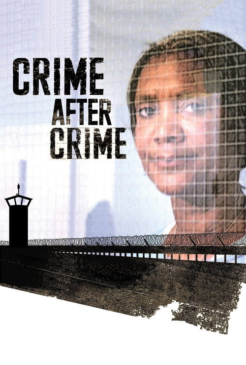 Movie poster for Crime After Crime (2011)