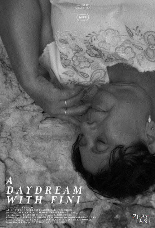 Movie poster for A Daydream with Fini (2024)