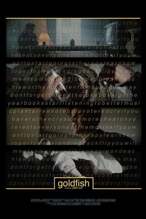 Movie poster for Goldfish (2021)