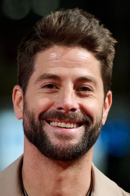 Luis Fernández profile