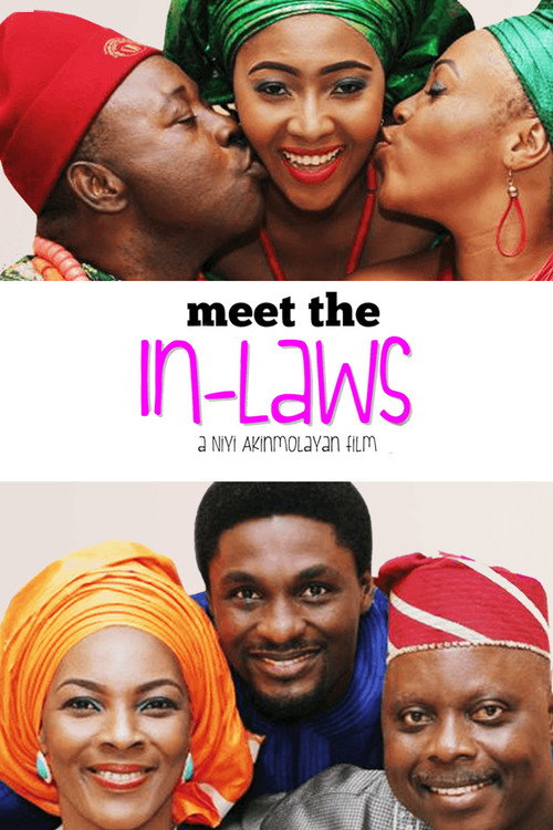 Movie poster for Meet The in-Laws (2016)