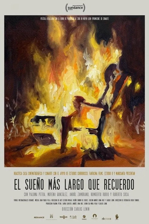 Movie poster for The Longest Dream I Remember (2021)