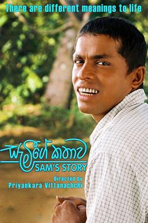 Movie poster for Sam's Story (2014)