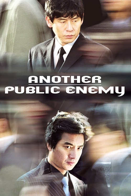 Movie poster for Another Public Enemy (2005)