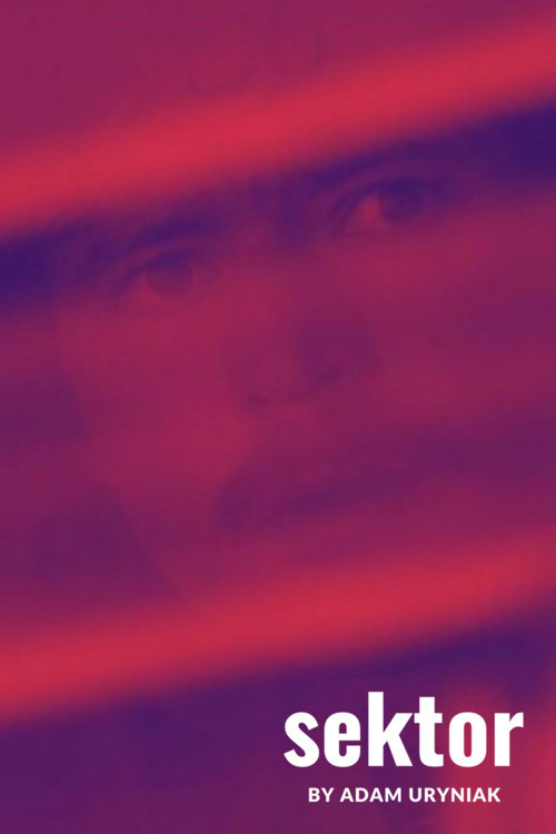 Movie poster for Sector