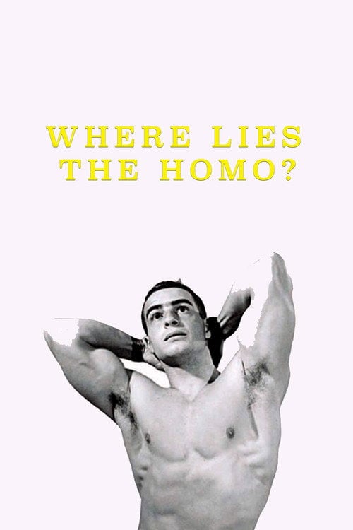 Movie poster for Where Lies the Homo? (1999)