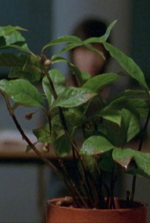 Movie poster for Deep or Quiet (1998)