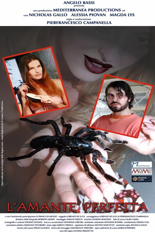Movie poster for L'amante perfetta (2017)