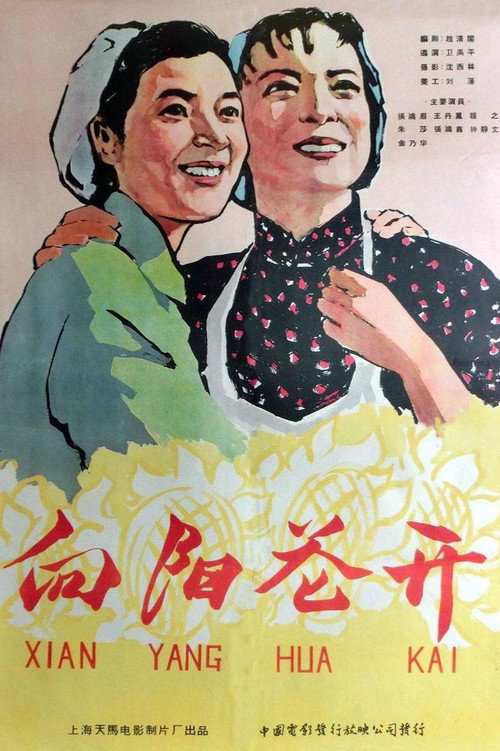 Movie poster for 向阳花开