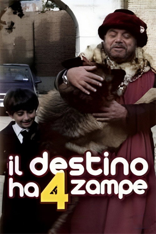 Movie poster for Il destino ha 4 zampe (2002)