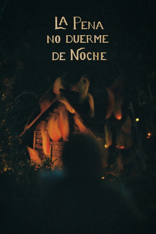 Movie poster for Sorrow Doesn't Sleep At Night (2025)