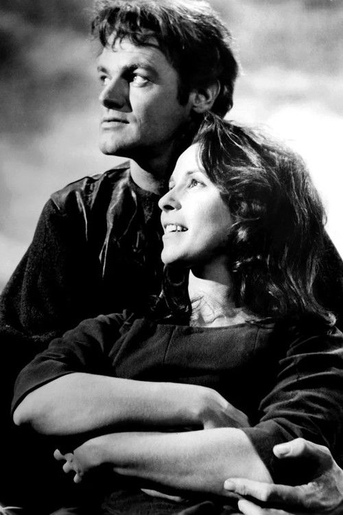 Wuthering Heights poster