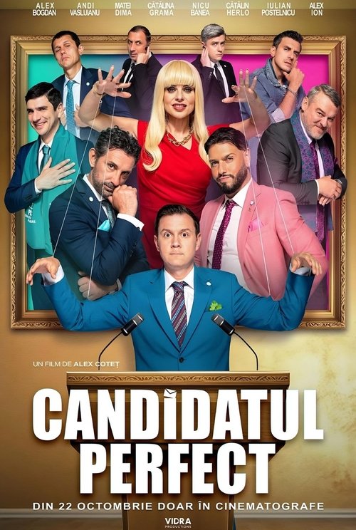 Movie poster for The Perfect Candidate (2024)