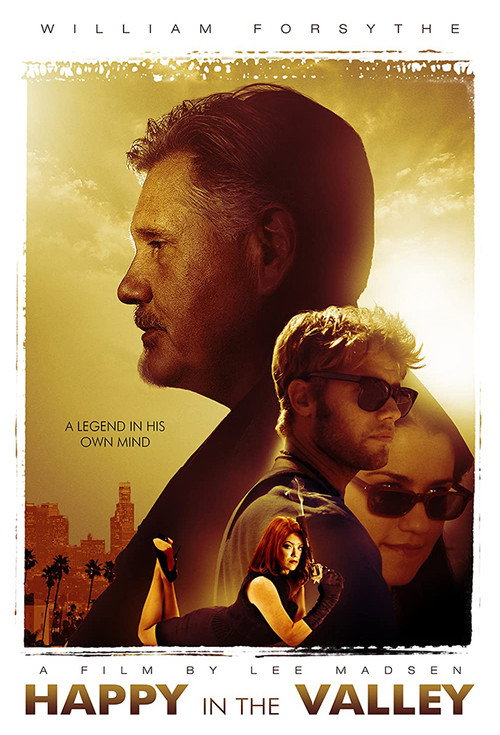 Movie poster for Happy in the Valley (2009)