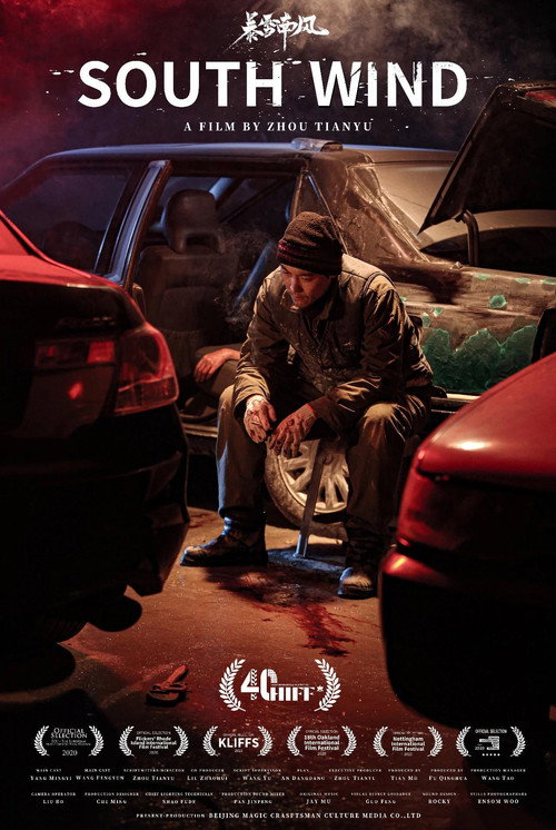Movie poster for 暴雪南风 (2020)