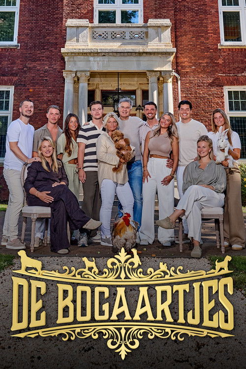 Series poster for De Bogaartjes (2026)