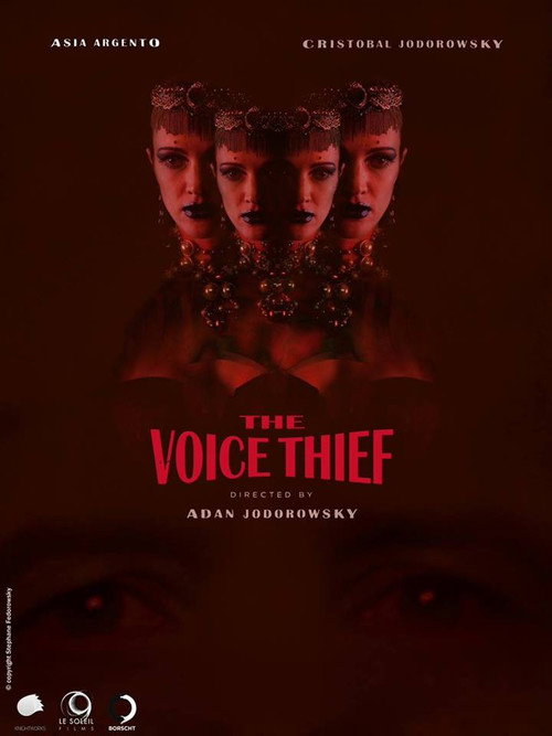 Movie poster for The Voice Thief (2013)