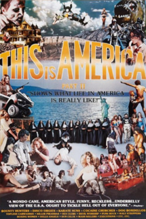 Movie poster for This Is America Part 2 (1980)