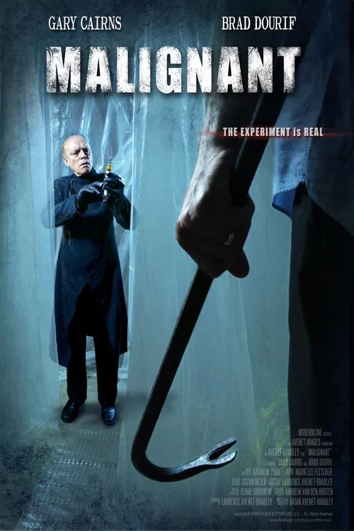 Movie poster for Malignant (2013)