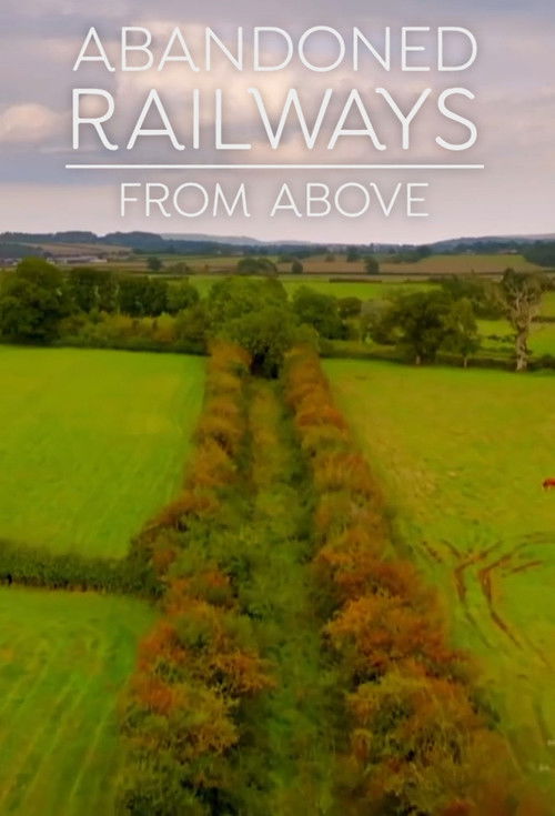 Abandoned Railways from Above poster