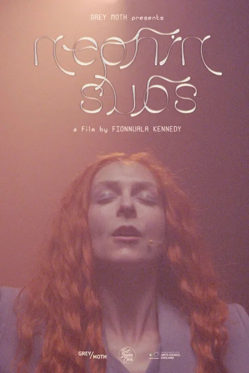 Movie poster for Nephin Subs