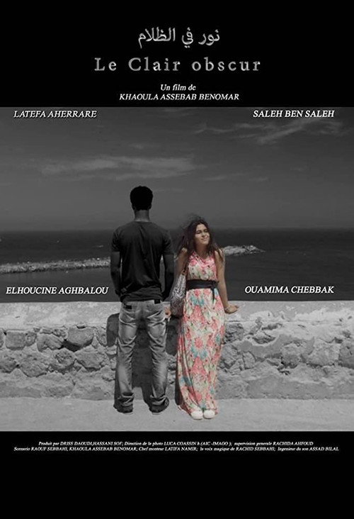 Movie poster for Le Clair obscur (2016)