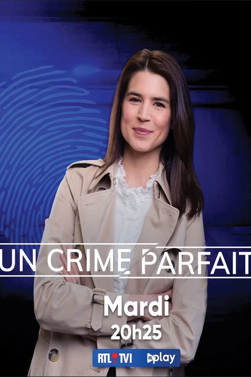 Series poster for Un crime parfait ? (2015)