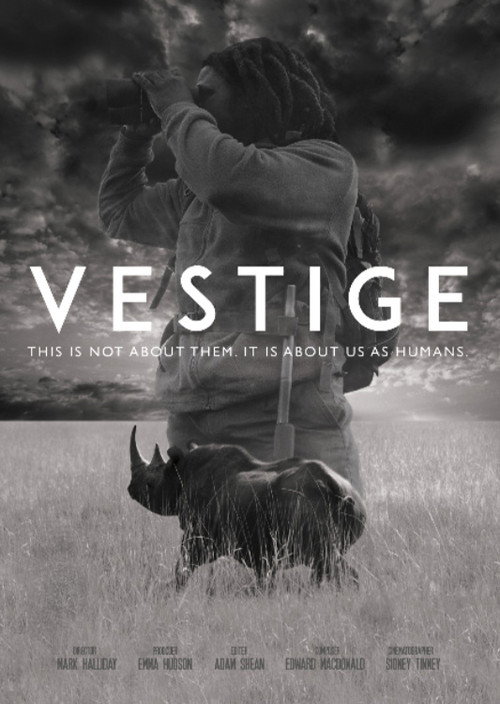 Movie poster for Vestige (2019)