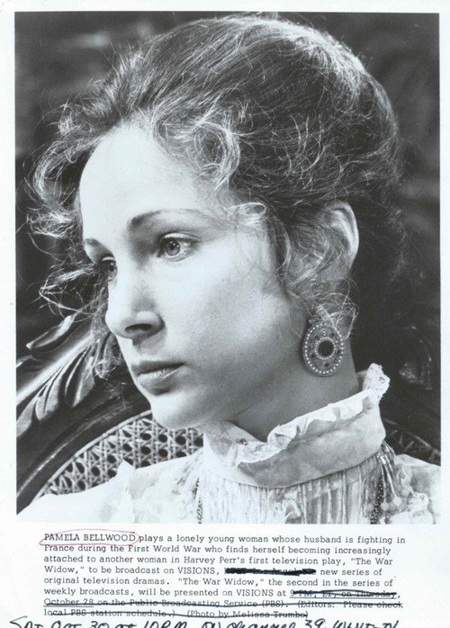 Movie poster for The War Widow (1976)