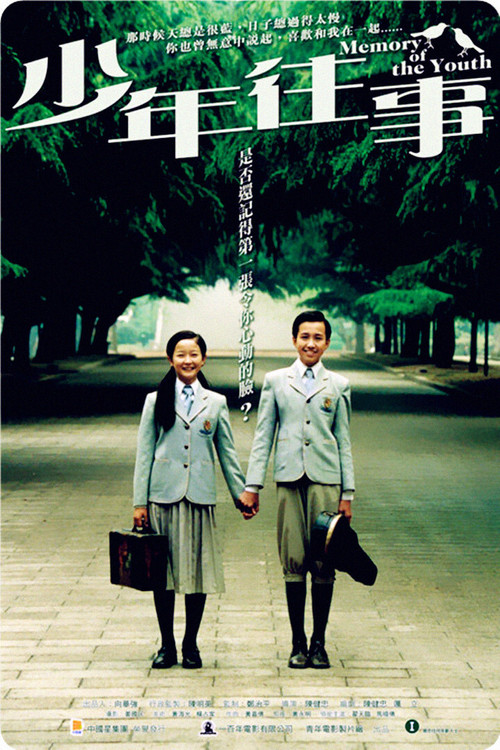 Movie poster for Memory of the Youth (2003)