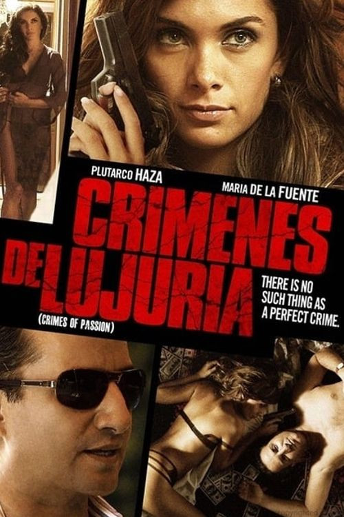 Movie poster for Crimes of Passion (2011)