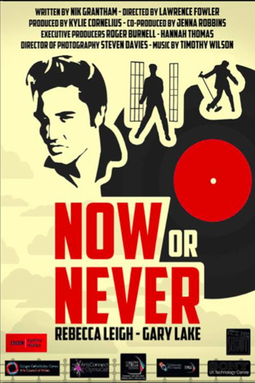 Movie poster for Now or Never (2013)