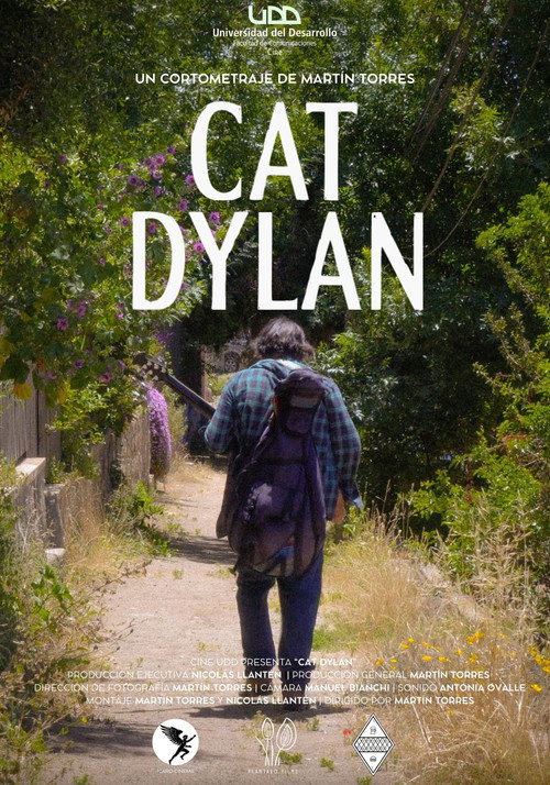 Movie poster for Cat Dylan