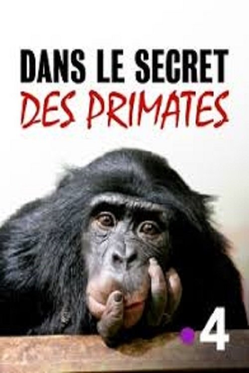 Movie poster for Dans le secret des primates (2020)